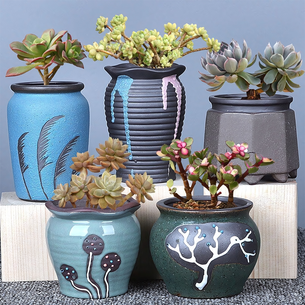Tagine Clay Pot - Succulent Plant Ceramic Flower Pot Special