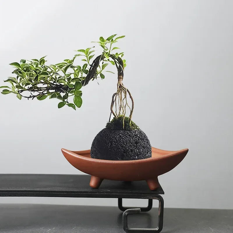 Tagine Clay Pot - Personalized Ceramic Flower Pots for Bamboo