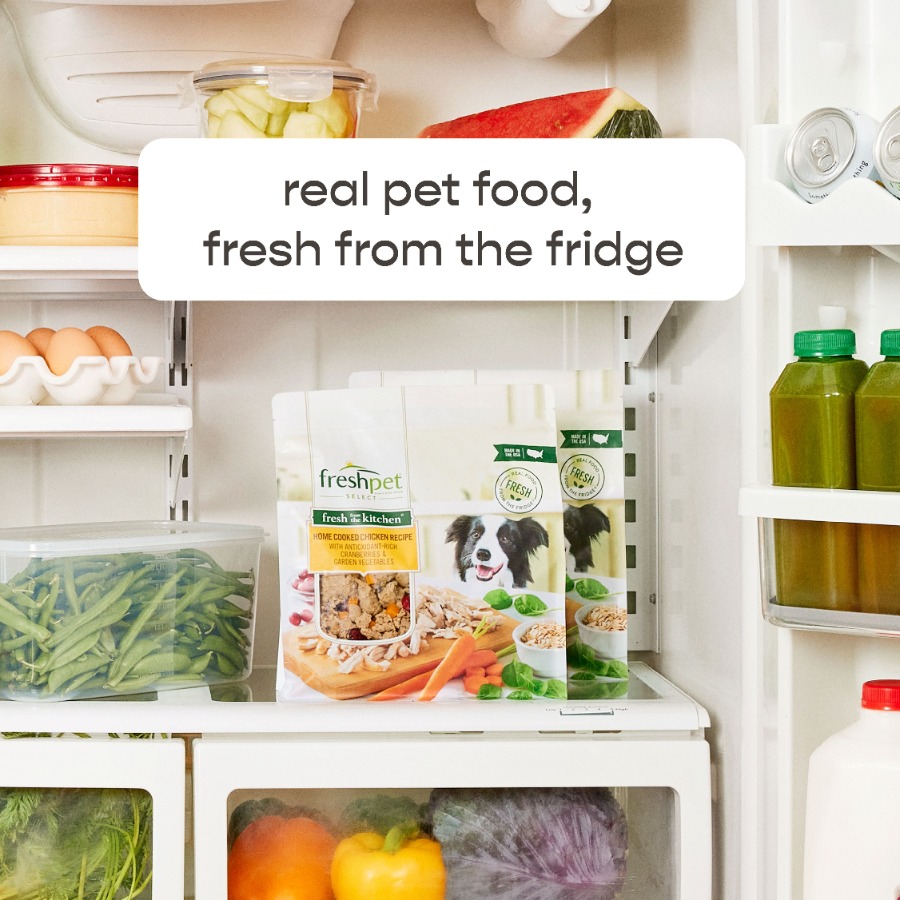 4 pack Fresh Dog Food, Fresh F - Home Cooking Food avis et prix