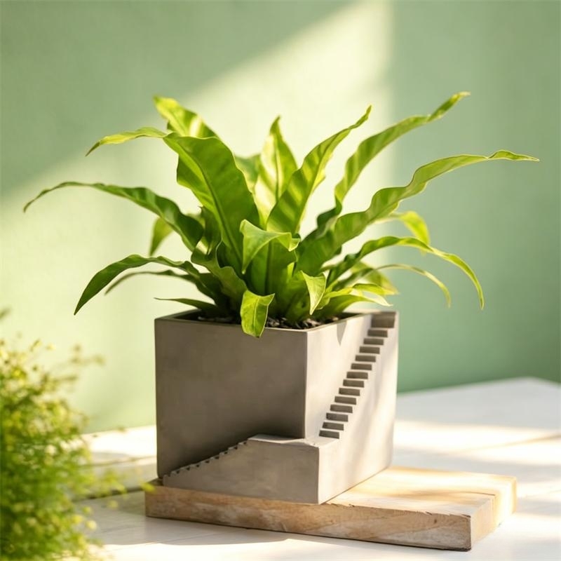 Square Stairs Shape Succulent  - Tagine Clay Pot avis et prix