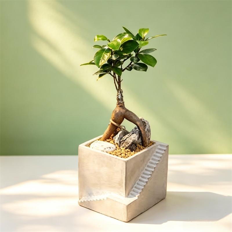 Square Cement Clay Flowerpot S - Tagine Clay Pot avis et prix