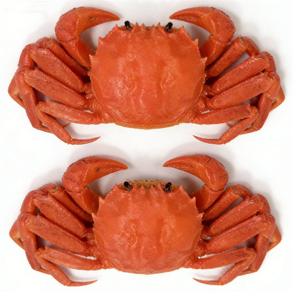 15cm Plastic Red Cooked Blue C - Home Cooking Shows avis et prix