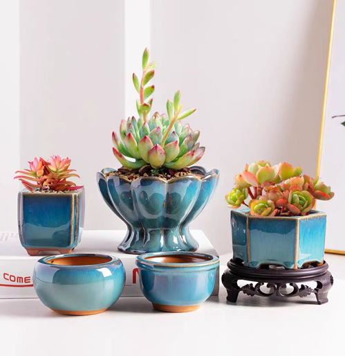 Succulent Plant Ceramic Flower - Tagine Clay Pot avis et prix