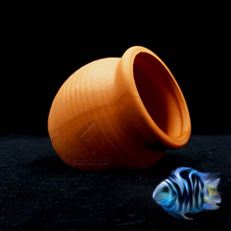 Aquarium Mini Ceramic Tank Fis - Tagine Clay Pot avis et prix