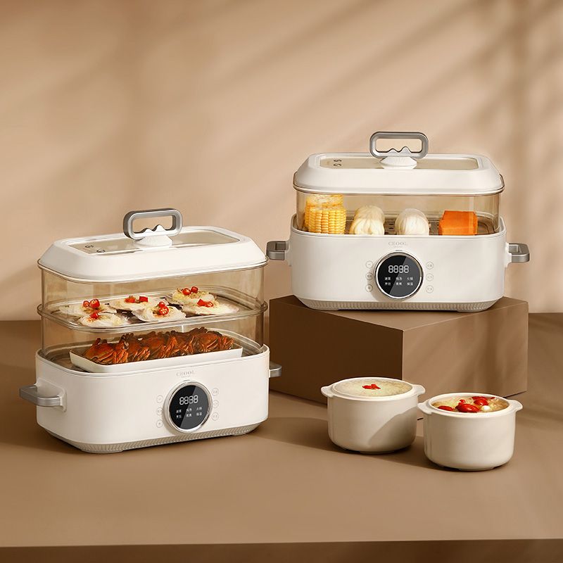 10L 3-in-1 Electric Food Steam - Home Cooking Food avis et prix