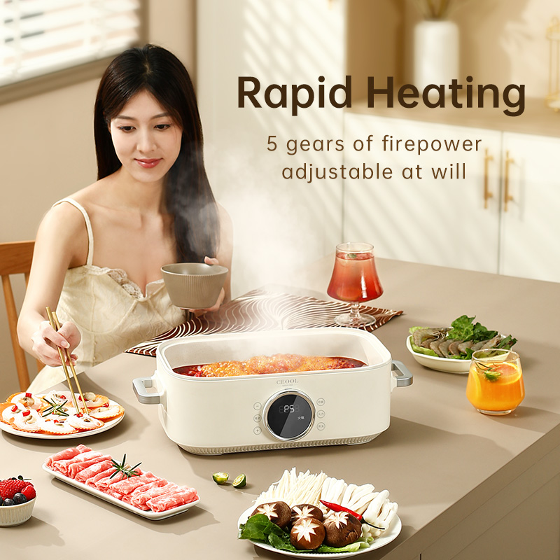10L 3-in-1 Electric Food Steam - Home Cooking Food avis et prix